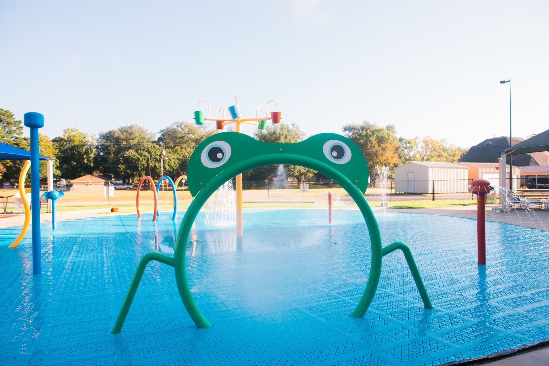 Frog Shaped Water Sprayer at a Splash Pad